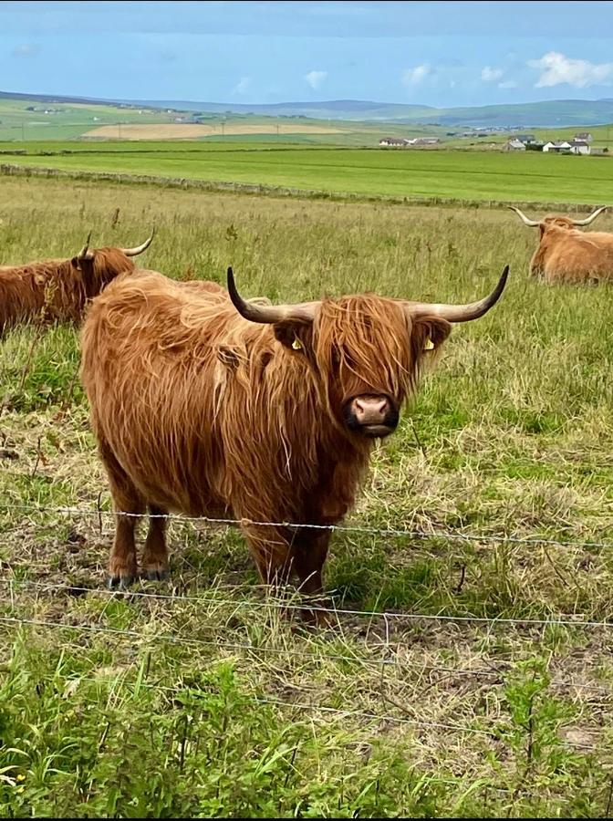 Peedie Cott Self-Catering, Orkney Saint Margarets Hope ภายนอก รูปภาพ
